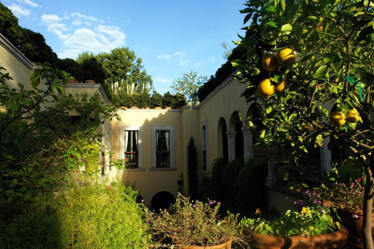 Hotel Casa Misha à San Miguel de Allende Extérieur photo